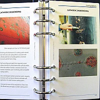 Атлас дефектов покрытий Фитца TQC Sheen LD3061